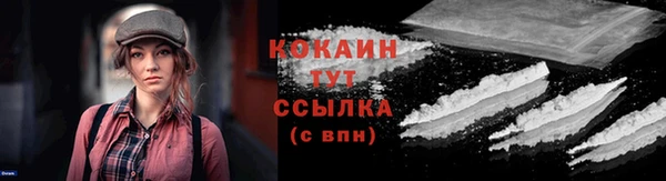 крисы Богородск