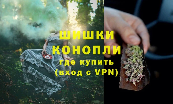 крисы Богородск
