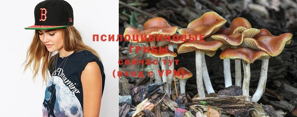 круглые Богородицк