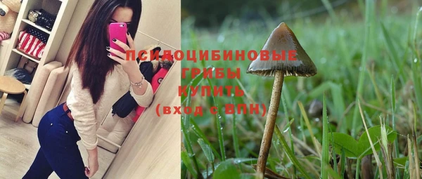 шишки Богданович
