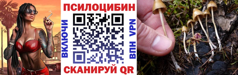 Псилоцибиновые грибы Cubensis  Купить  Нариманов 